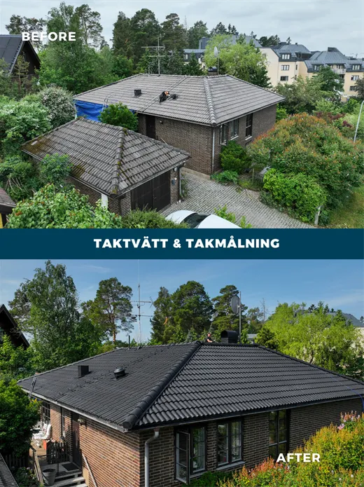 Taktvätt & takmålning-6